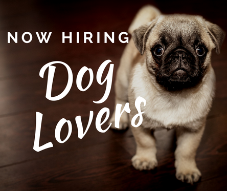 Now Hiring Dog Lovers